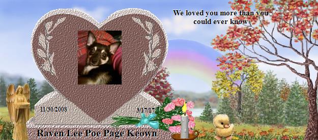 Raven Lee Poe Page Keown's Rainbow Bridge Pet Loss Memorial Residency Image