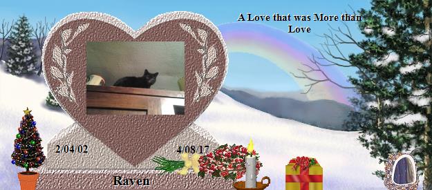Raven's Rainbow Bridge Pet Loss Memorial Residency Image