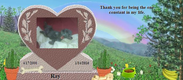 Ray's Rainbow Bridge Pet Loss Memorial Residency Image