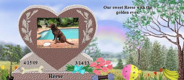 Reese's Rainbow Bridge Pet Loss Memorial Residency Image