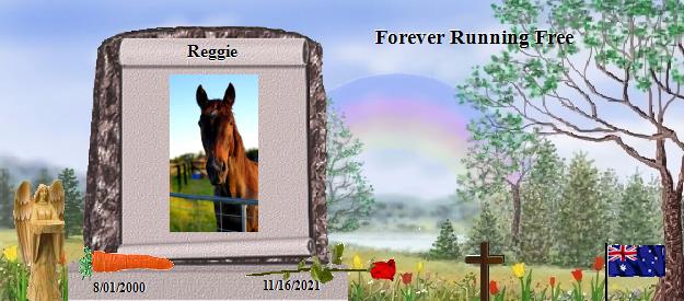 Reggie's Rainbow Bridge Pet Loss Memorial Residency Image