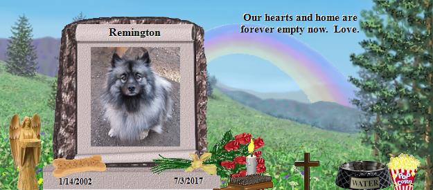 Remington's Rainbow Bridge Pet Loss Memorial Residency Image