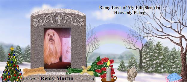 Remy Martin's Rainbow Bridge Pet Loss Memorial Residency Image