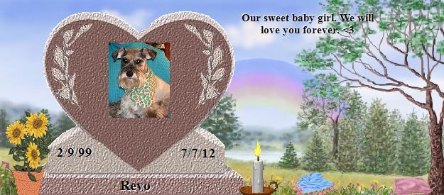 Revo's Rainbow Bridge Pet Loss Memorial Residency Image