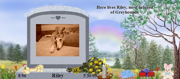 Riley's Rainbow Bridge Pet Loss Memorial Residency Image
