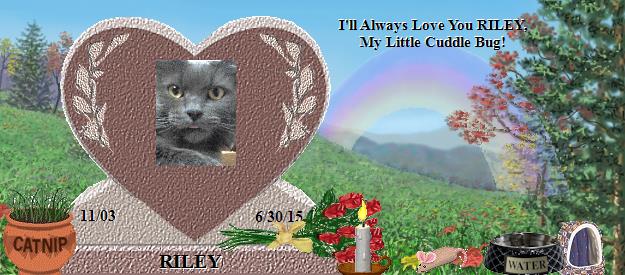 RILEY's Rainbow Bridge Pet Loss Memorial Residency Image
