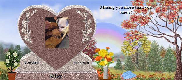 Riley's Rainbow Bridge Pet Loss Memorial Residency Image