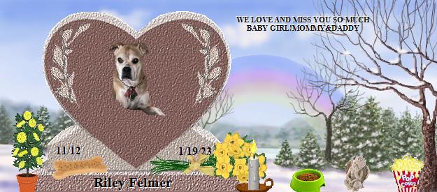Riley Felmer's Rainbow Bridge Pet Loss Memorial Residency Image