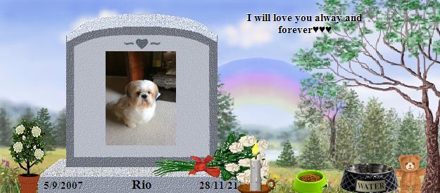 Rio's Rainbow Bridge Pet Loss Memorial Residency Image