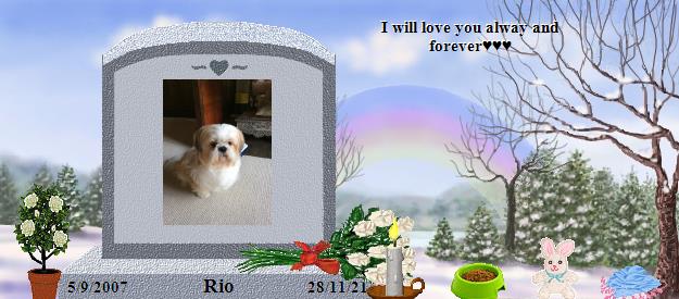 Rio's Rainbow Bridge Pet Loss Memorial Residency Image
