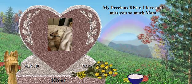 River's Rainbow Bridge Pet Loss Memorial Residency Image