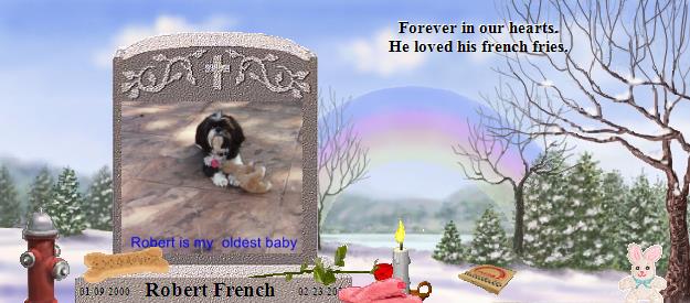 Robert French's Rainbow Bridge Pet Loss Memorial Residency Image