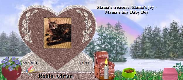 Robin Adrian's Rainbow Bridge Pet Loss Memorial Residency Image