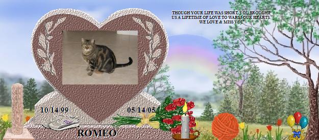 ROMEO's Rainbow Bridge Pet Loss Memorial Residency Image