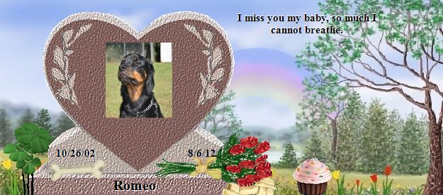 Romeo's Rainbow Bridge Pet Loss Memorial Residency Image