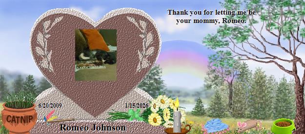 Romeo Johnson's Rainbow Bridge Pet Loss Memorial Residency Image