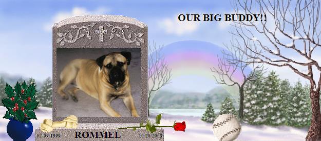 ROMMEL's Rainbow Bridge Pet Loss Memorial Residency Image
