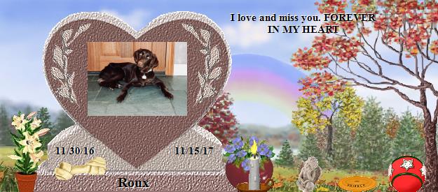 Roux's Rainbow Bridge Pet Loss Memorial Residency Image