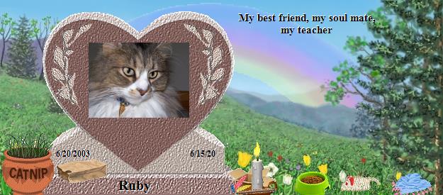 Ruby's Rainbow Bridge Pet Loss Memorial Residency Image