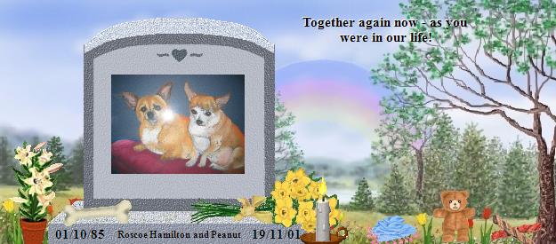 Roscoe Hamilton and Peanut's Rainbow Bridge Pet Loss Memorial Residency Image