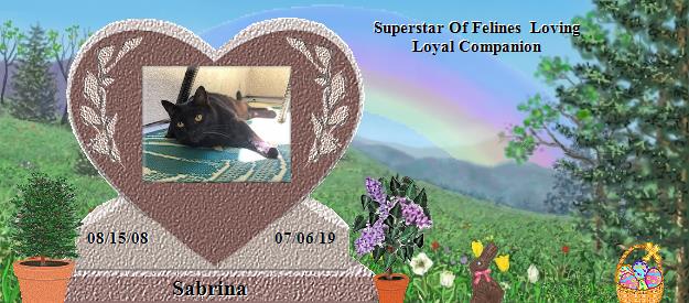 Sabrina's Rainbow Bridge Pet Loss Memorial Residency Image