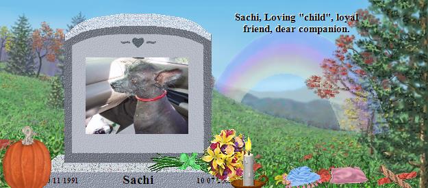 Sachi's Rainbow Bridge Pet Loss Memorial Residency Image