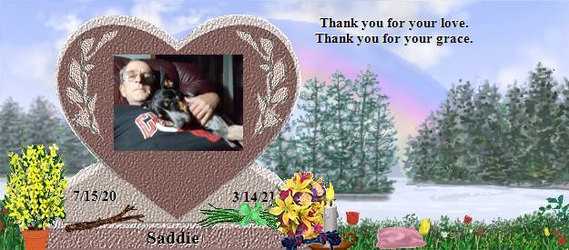 Saddie's Rainbow Bridge Pet Loss Memorial Residency Image