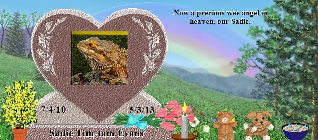 Sadie Tim-tam Evans's Rainbow Bridge Pet Loss Memorial Residency Image