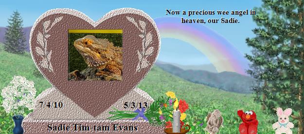 Sadie Tim-tam Evans's Rainbow Bridge Pet Loss Memorial Residency Image