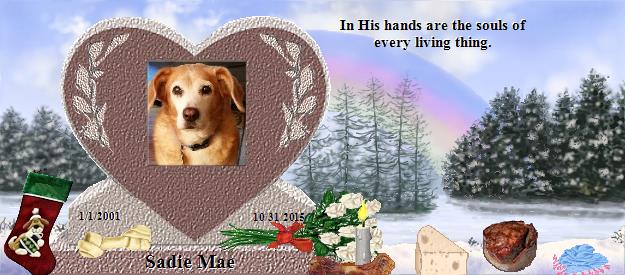 Sadie Mae's Rainbow Bridge Pet Loss Memorial Residency Image