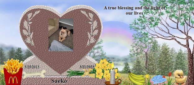 Saeko's Rainbow Bridge Pet Loss Memorial Residency Image