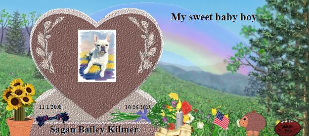 Sagan Bailey Kilmer's Rainbow Bridge Pet Loss Memorial Residency Image