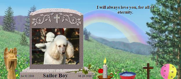 Sailor Boy's Rainbow Bridge Pet Loss Memorial Residency Image