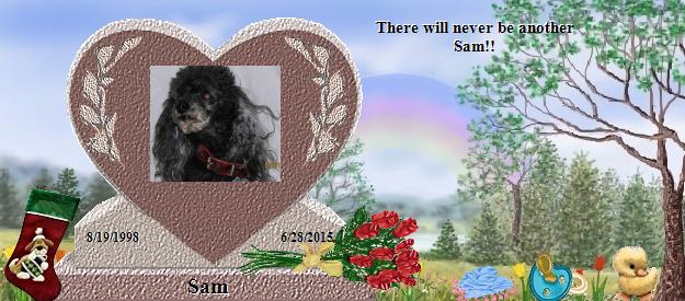 Sam's Rainbow Bridge Pet Loss Memorial Residency Image