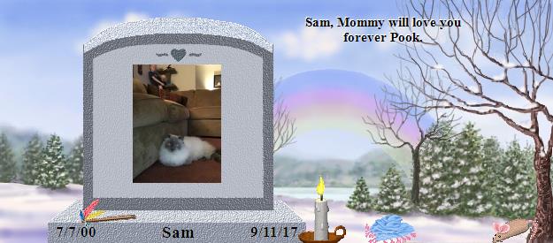 Sam's Rainbow Bridge Pet Loss Memorial Residency Image