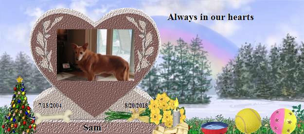 Sam's Rainbow Bridge Pet Loss Memorial Residency Image