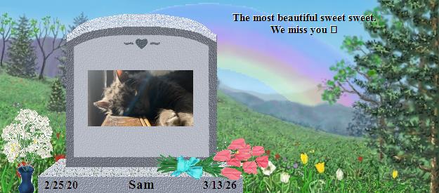 Sam's Rainbow Bridge Pet Loss Memorial Residency Image