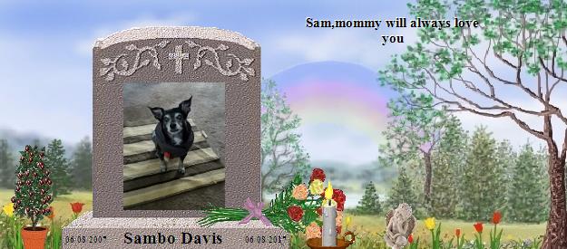 Sambo Davis's Rainbow Bridge Pet Loss Memorial Residency Image