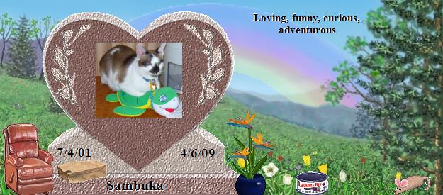 Sambuka's Rainbow Bridge Pet Loss Memorial Residency Image