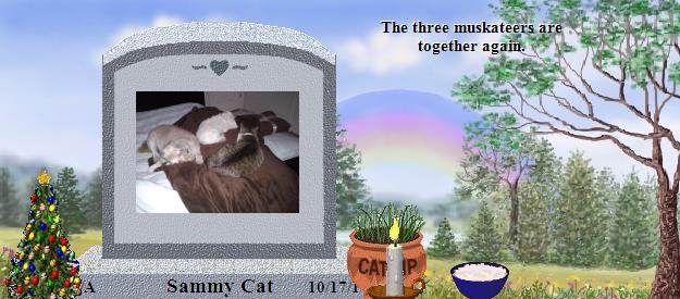 Sammy Cat's Rainbow Bridge Pet Loss Memorial Residency Image
