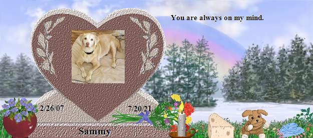 Sammy's Rainbow Bridge Pet Loss Memorial Residency Image