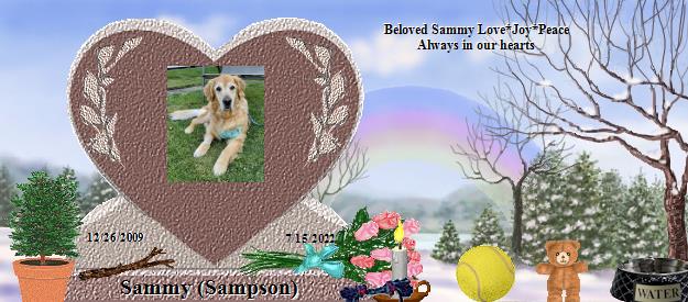 Sammy (Sampson)'s Rainbow Bridge Pet Loss Memorial Residency Image