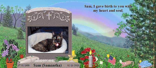 Sam (Samantha)'s Rainbow Bridge Pet Loss Memorial Residency Image