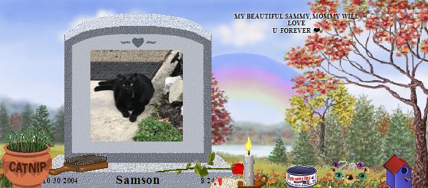 Samson's Rainbow Bridge Pet Loss Memorial Residency Image