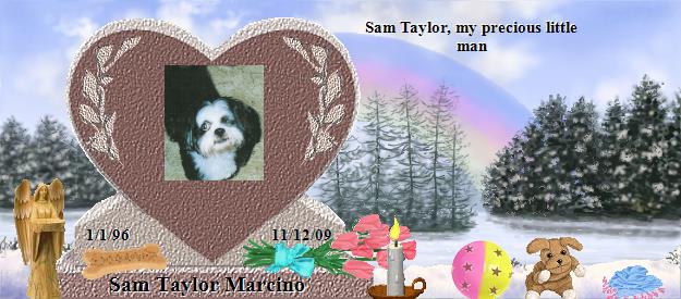 Sam Taylor Marcino's Rainbow Bridge Pet Loss Memorial Residency Image