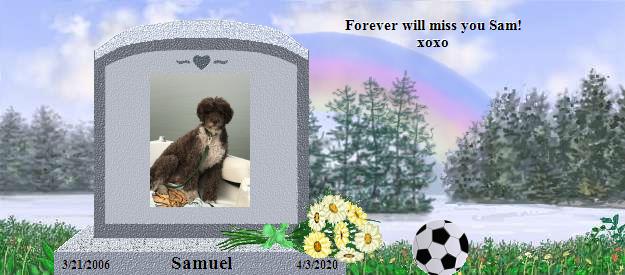 Samuel's Rainbow Bridge Pet Loss Memorial Residency Image