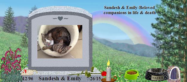 Sandesh & Emily's Rainbow Bridge Pet Loss Memorial Residency Image