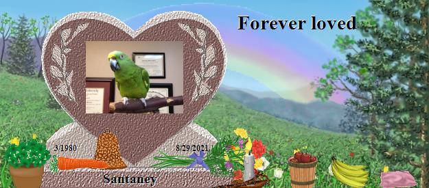 Santaney's Rainbow Bridge Pet Loss Memorial Residency Image