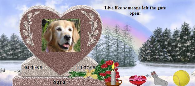 Sara's Rainbow Bridge Pet Loss Memorial Residency Image