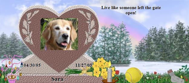 Sara's Rainbow Bridge Pet Loss Memorial Residency Image